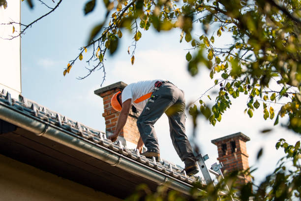 Best Roof Gutter Cleaning  in Stone Ridge, VA